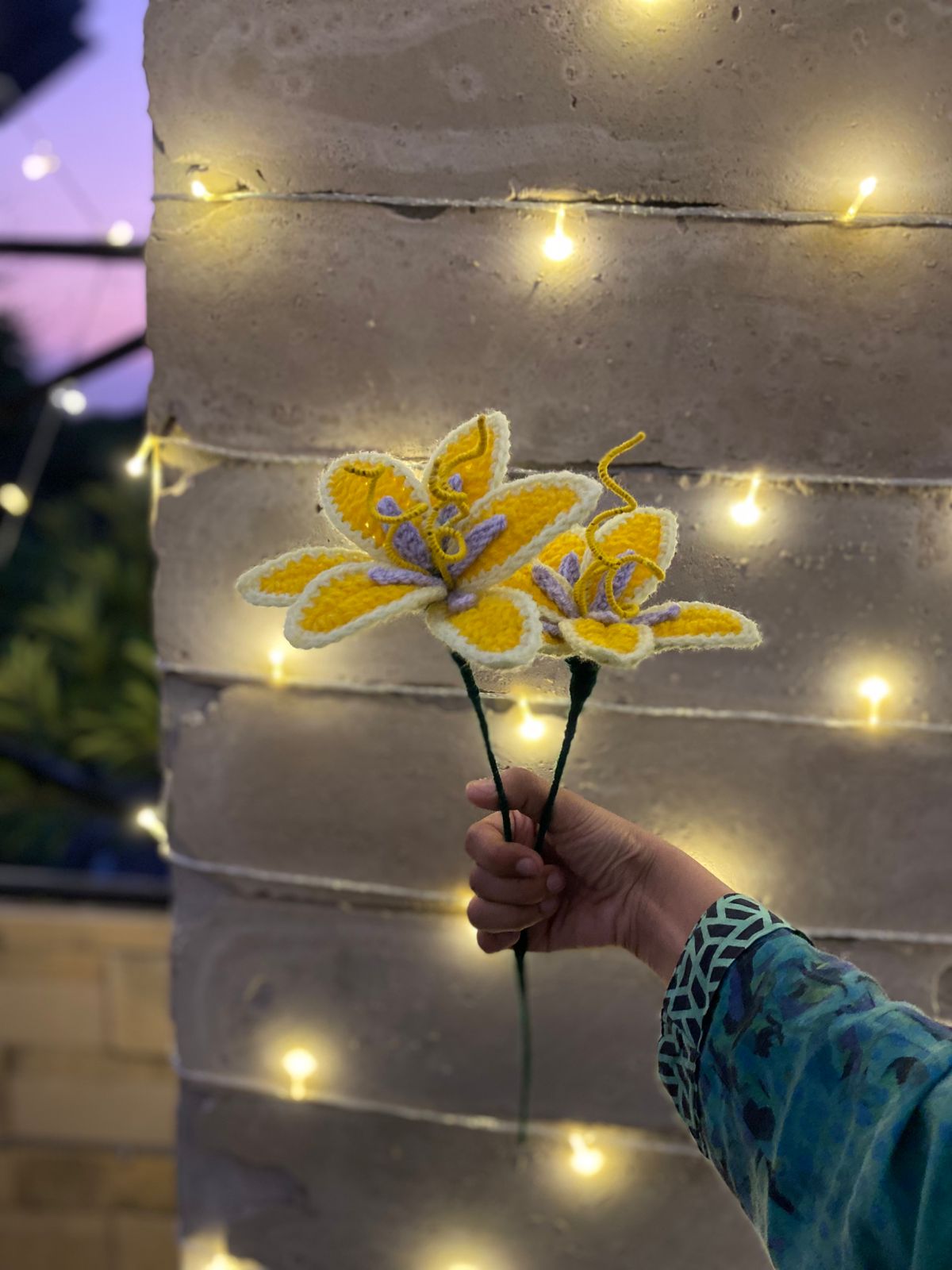 Sundrop Flowers