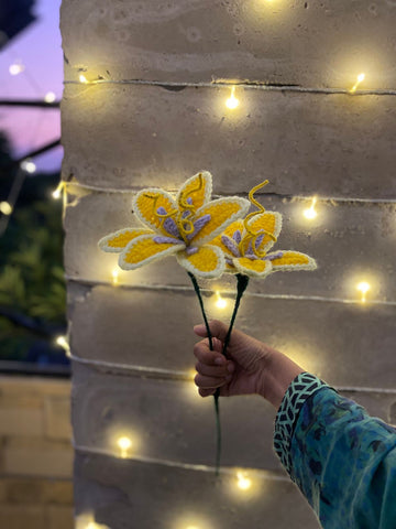 Sundrop Flowers