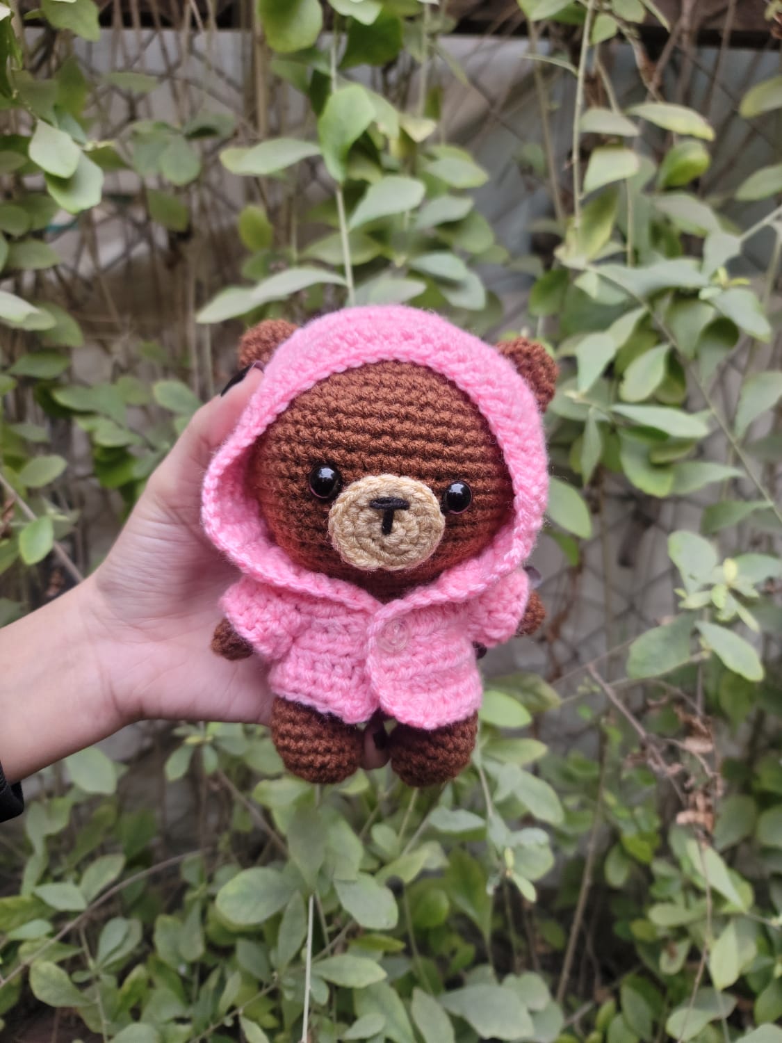 Teddy