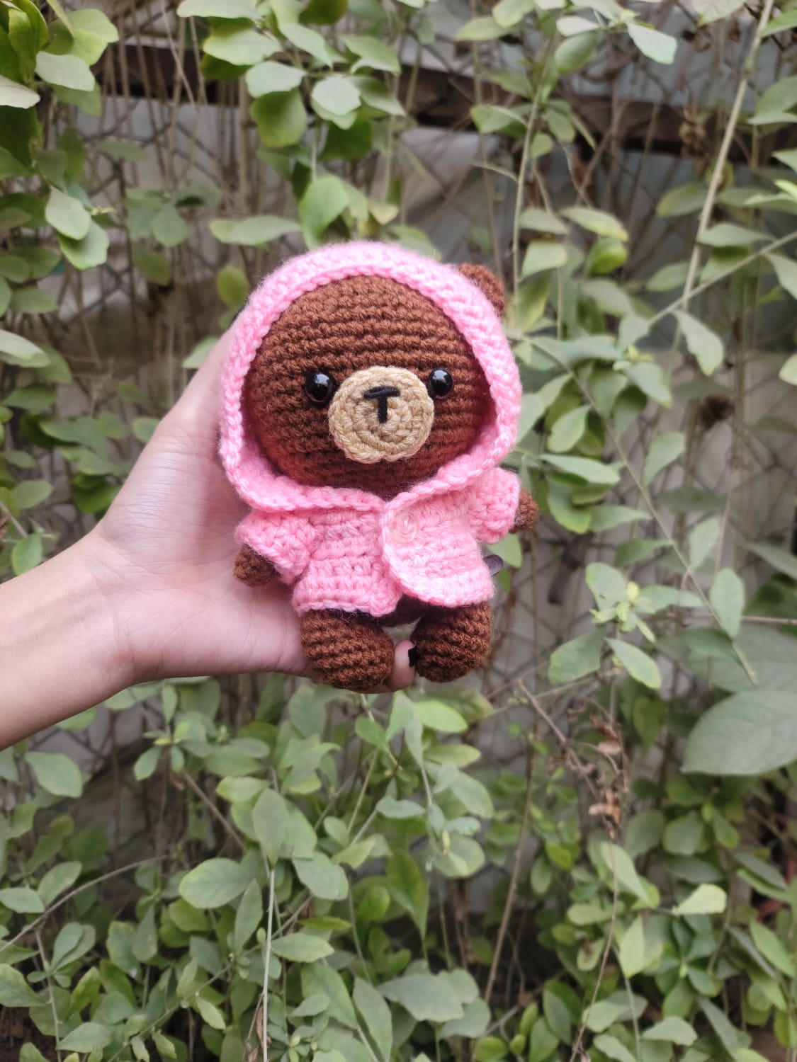 Teddy