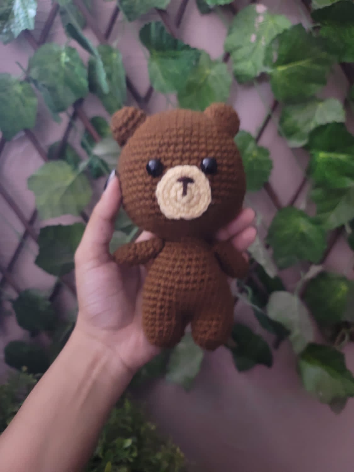 Teddy