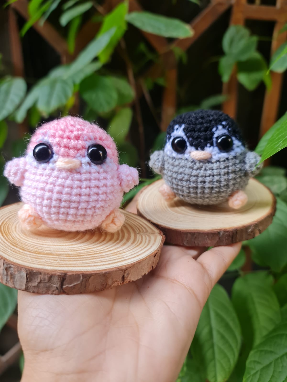 Penguins
