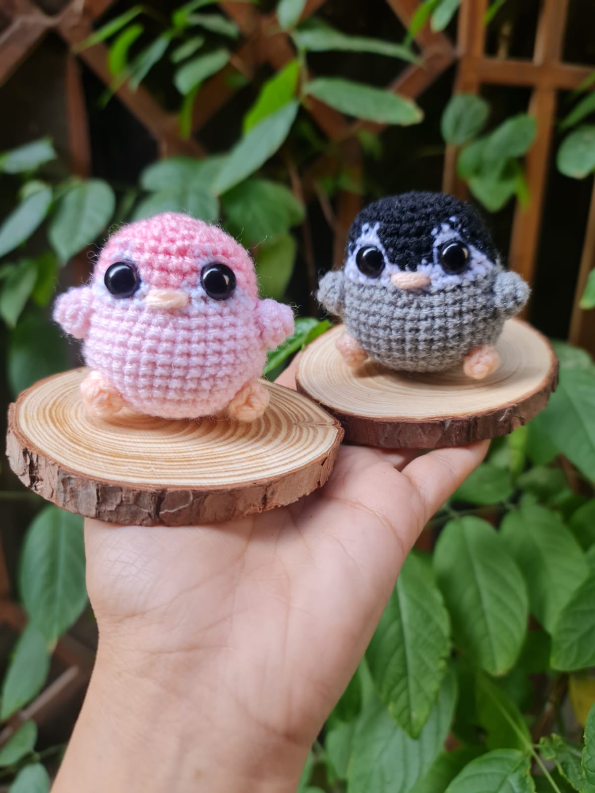 Penguins