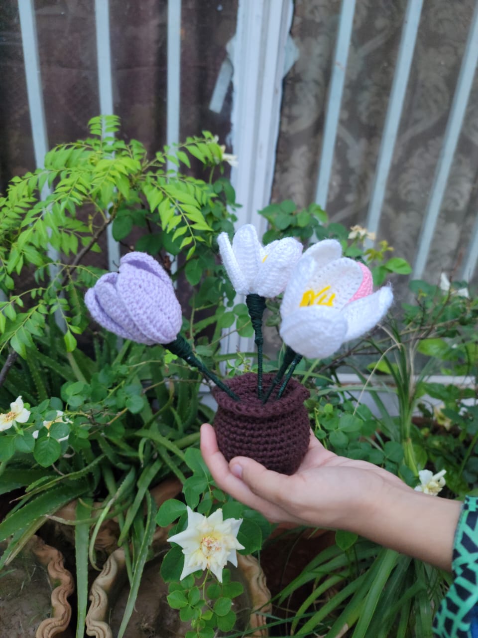 Lily Pot
