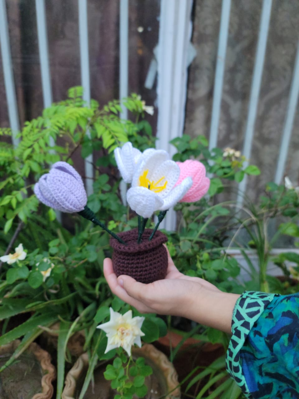 Lily Pot