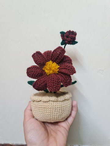 Chocolate Flower Pot