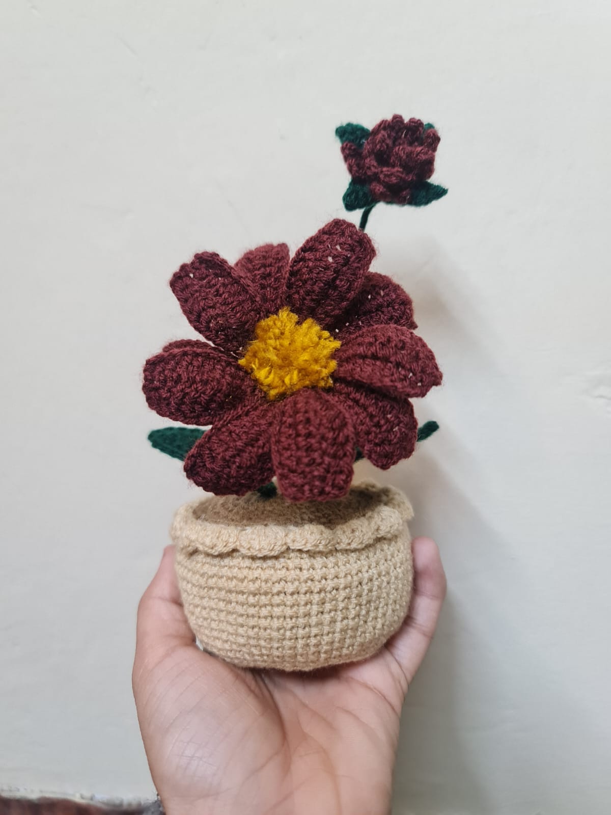Chocolate Flower Pot