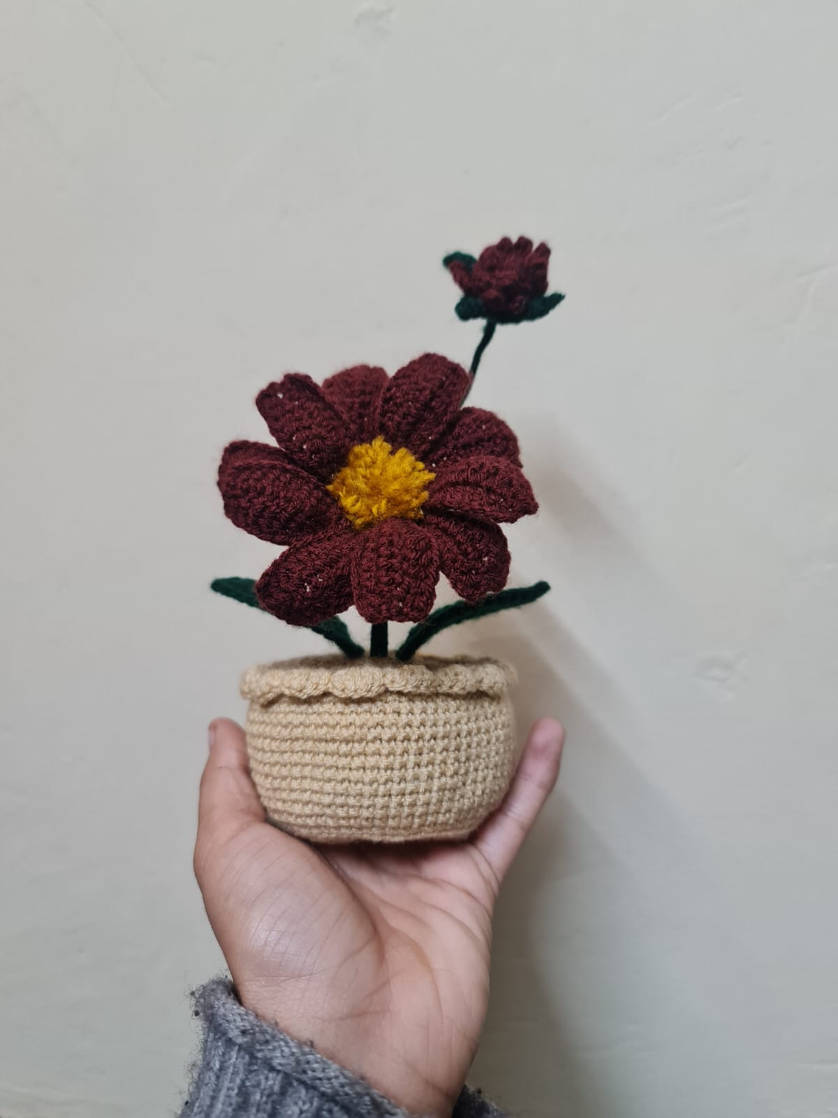 Chocolate Flower Pot