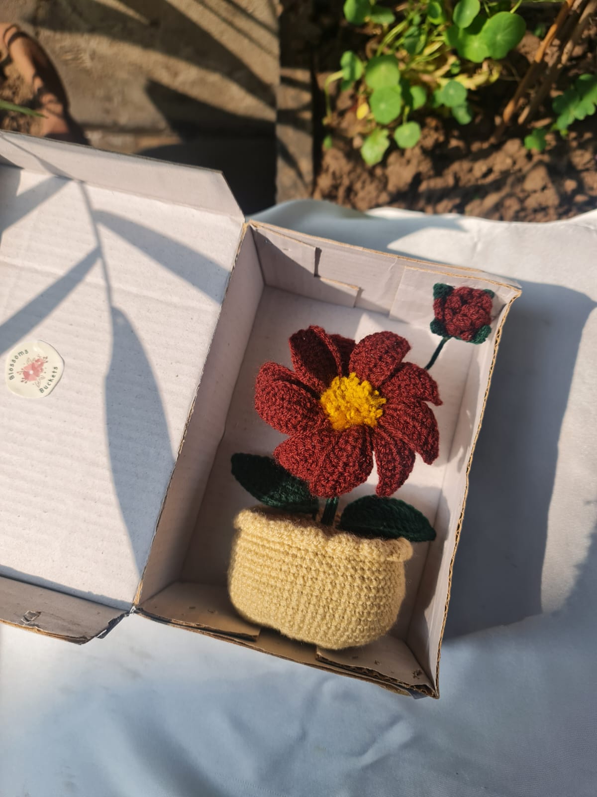 Chocolate Flower Pot