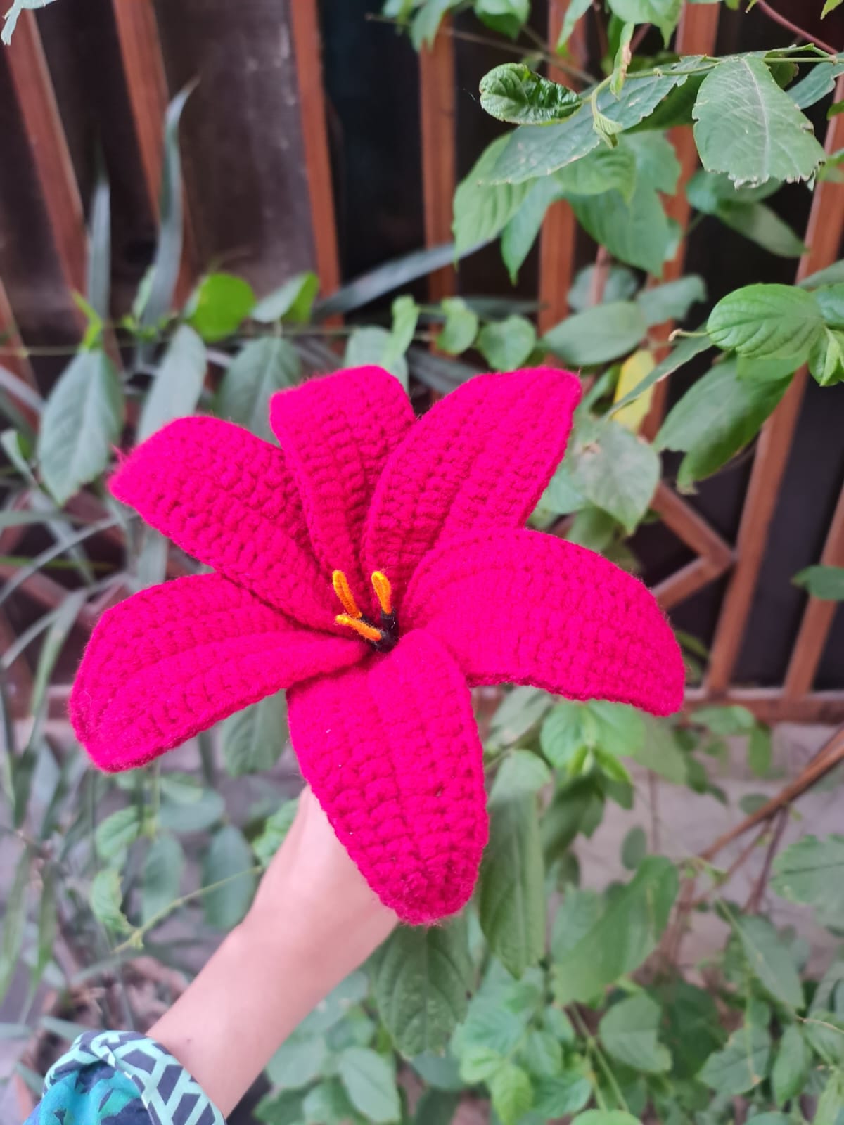 Lily