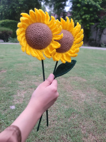 Large Sunflower