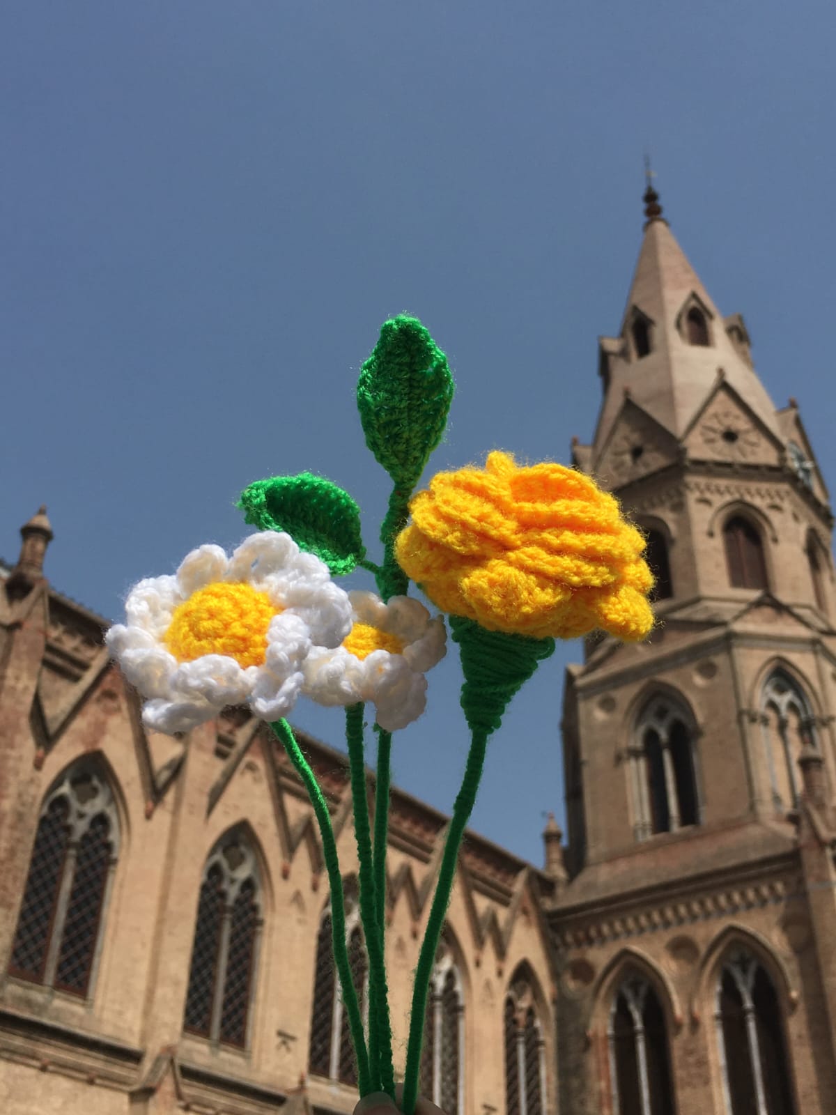 Summer Flowers Bundle