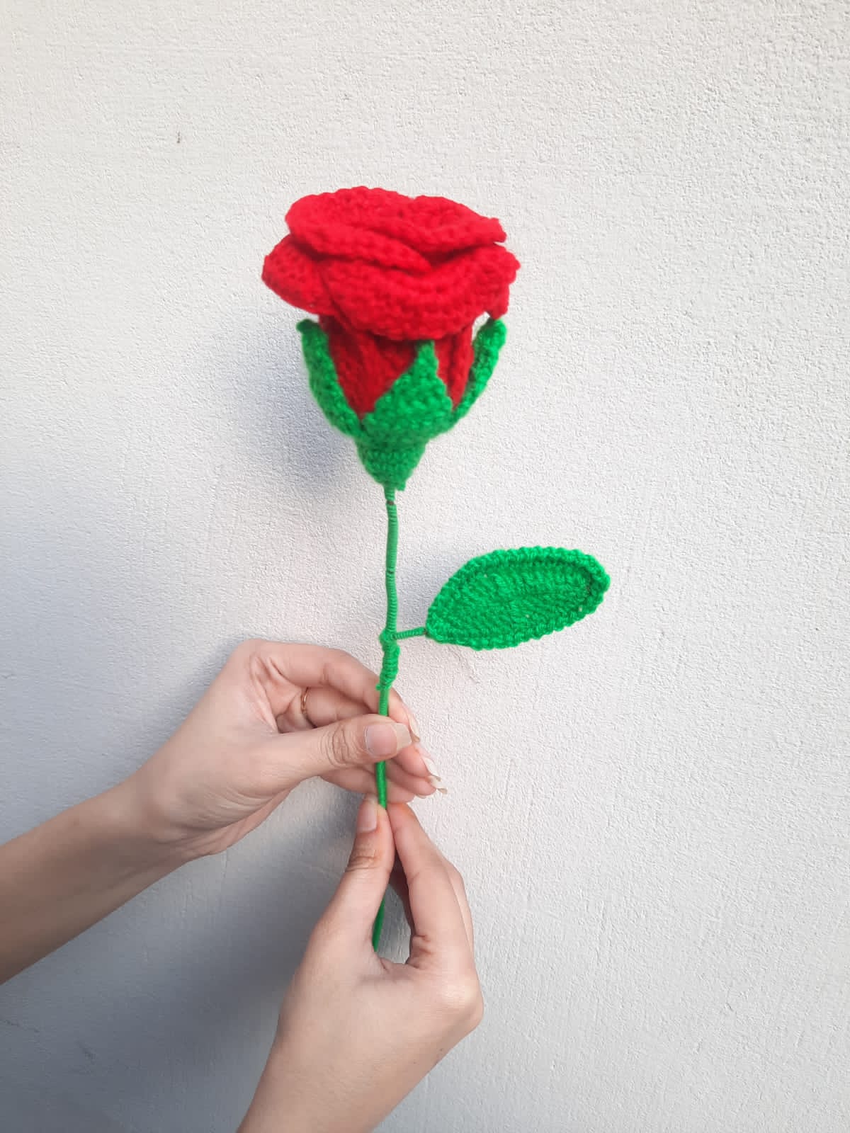 Closed Rose