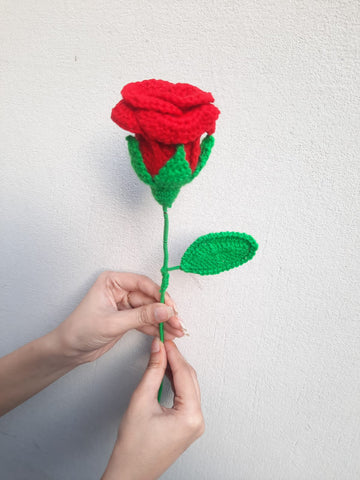 Closed Rose