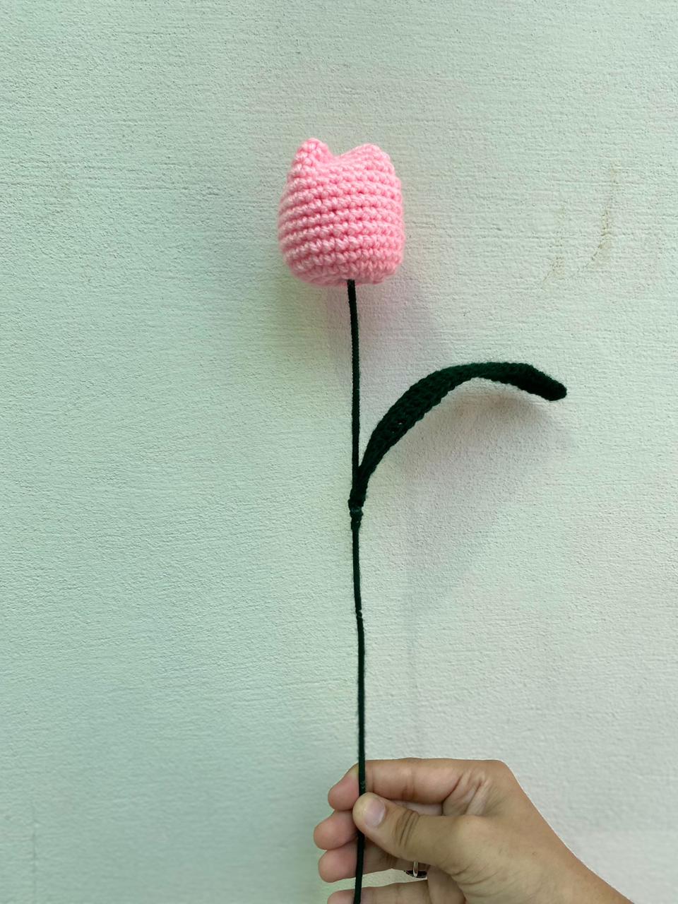 Tulip