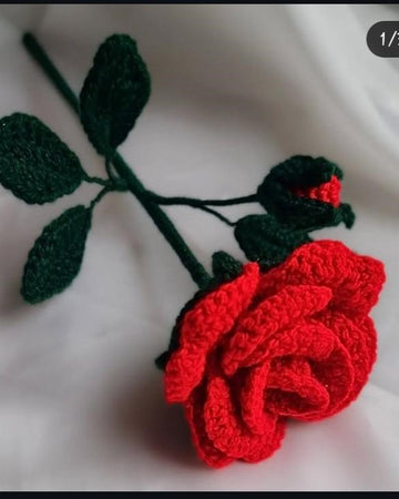 Petal Rose