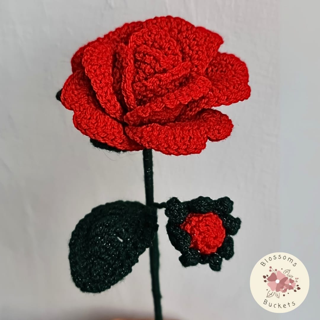 Memorial Rose