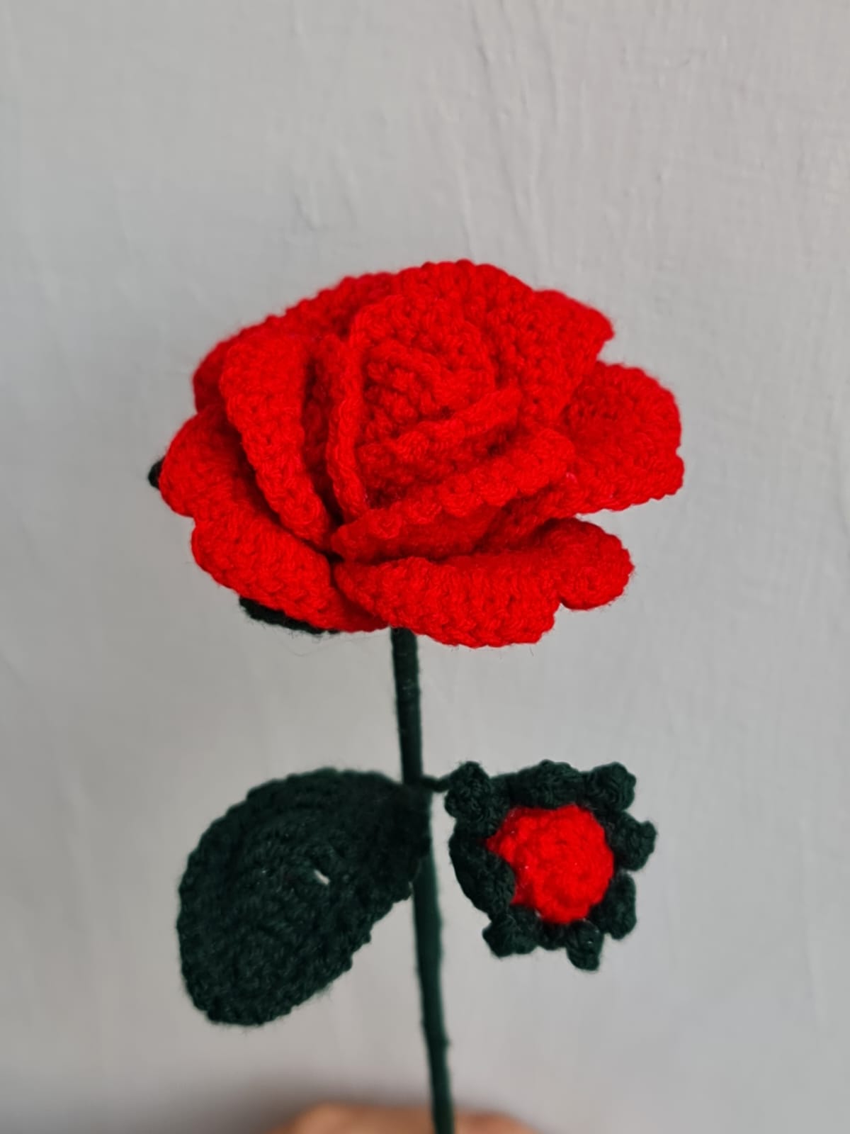 Memorial Rose