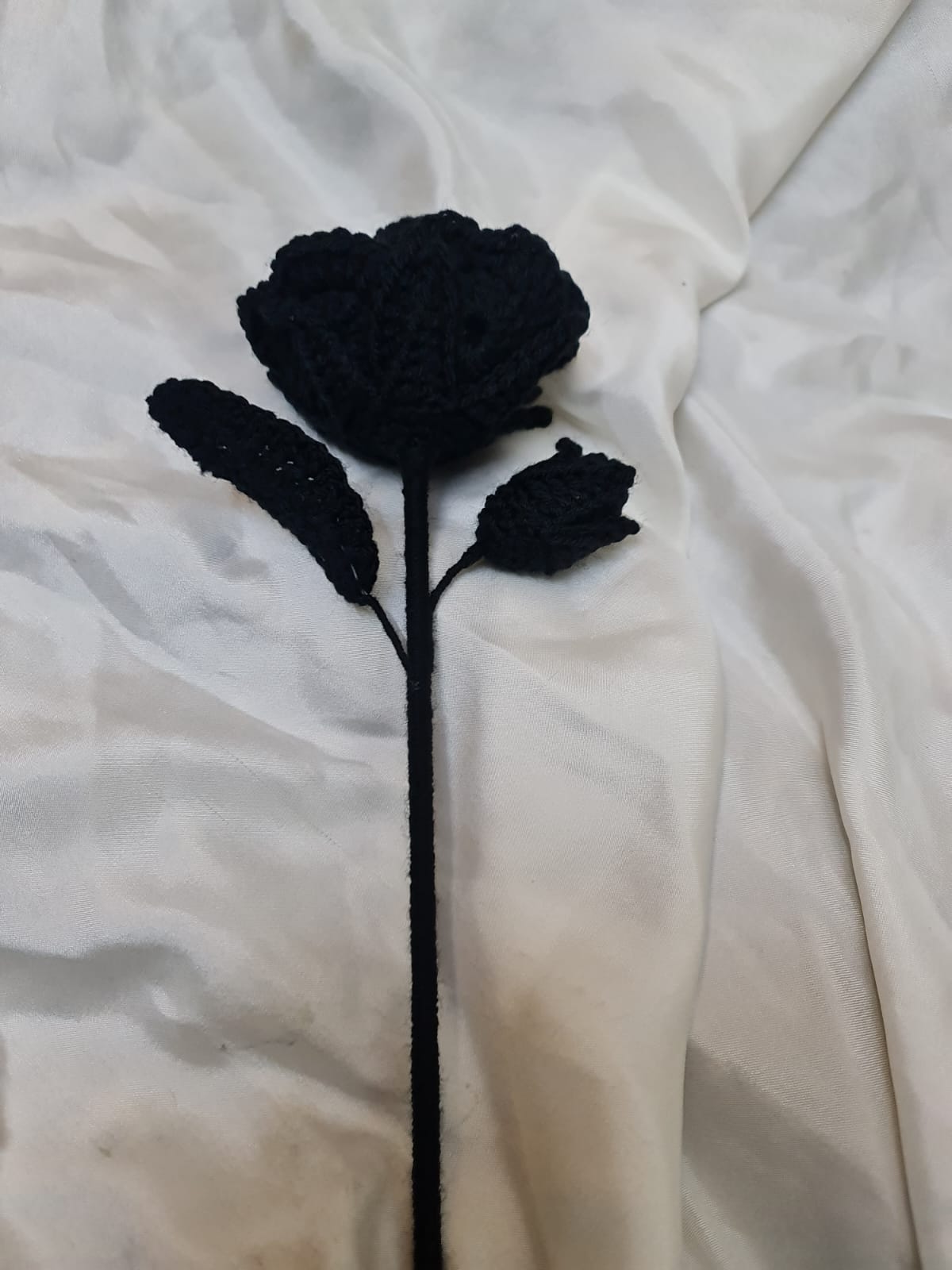 Memorial Rose