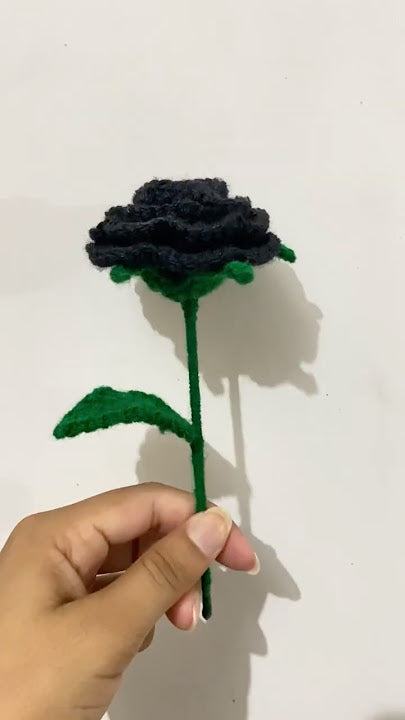 Open Rose